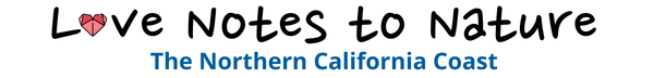 Banner: Love Notes to Nature, The Northern California Coast