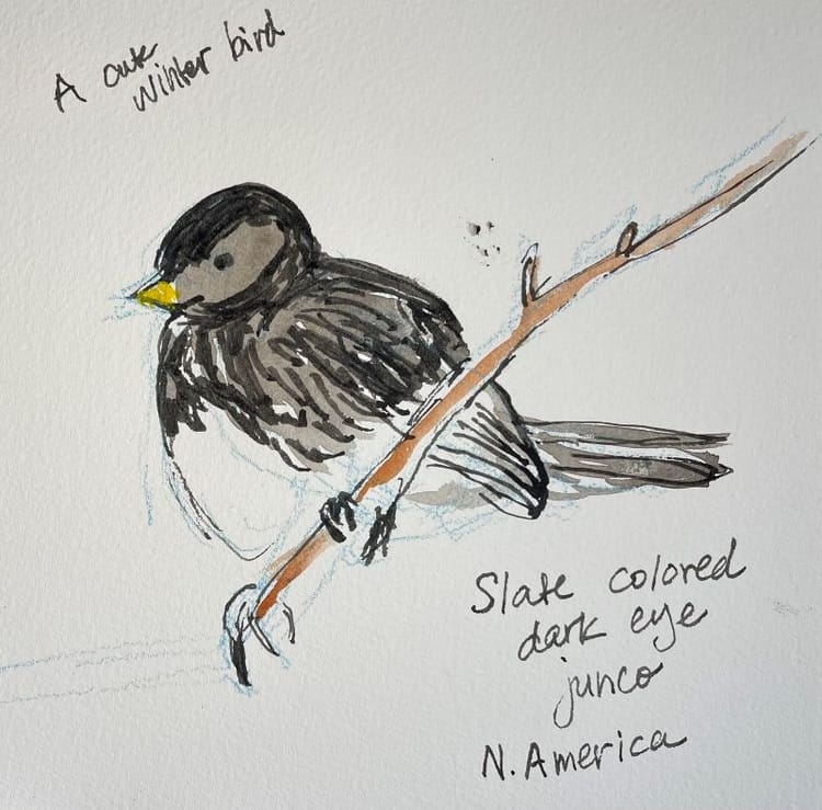 Permission to Pause: Find your creative rhythm, curiosity and voice