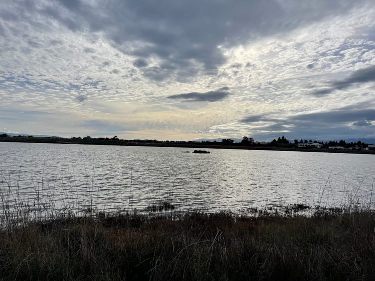 January Edition: Cozy Winter Adventures